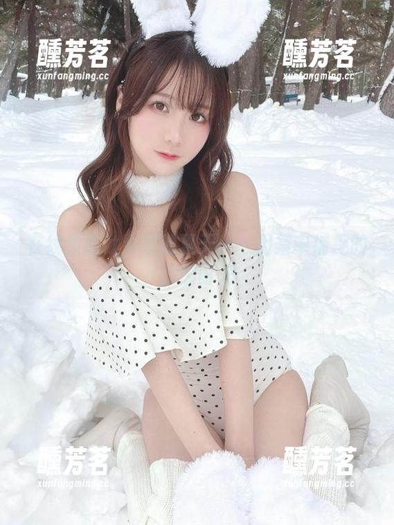 在线领略けん研的夏天——图集中捕捉的慵懒时光
