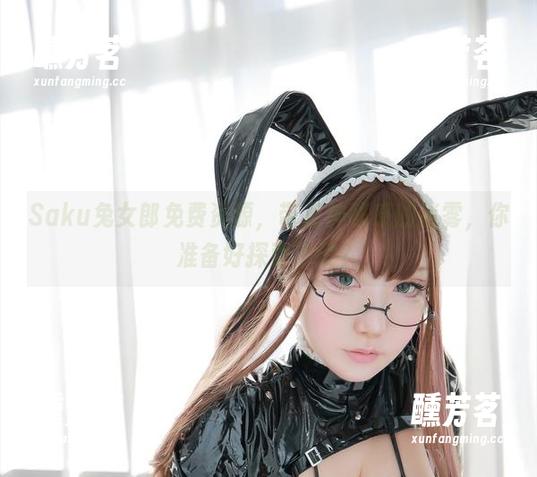 Saku兔女郎免费资源，带点神秘感的迷雾，你准备好探索了没？