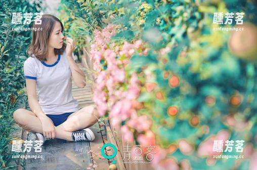 青豆客 - 喵喵哒写真：圣诞节的闪光点，真是神奇
